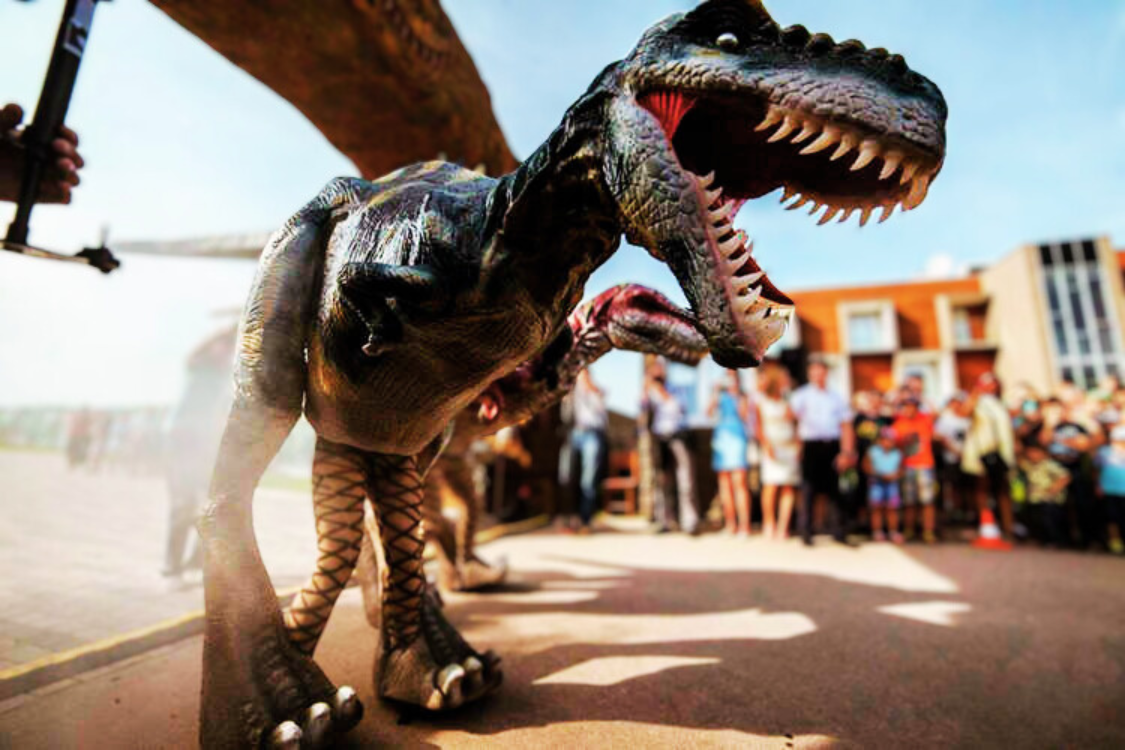 DINO_FOTO_14.04.24 (3)